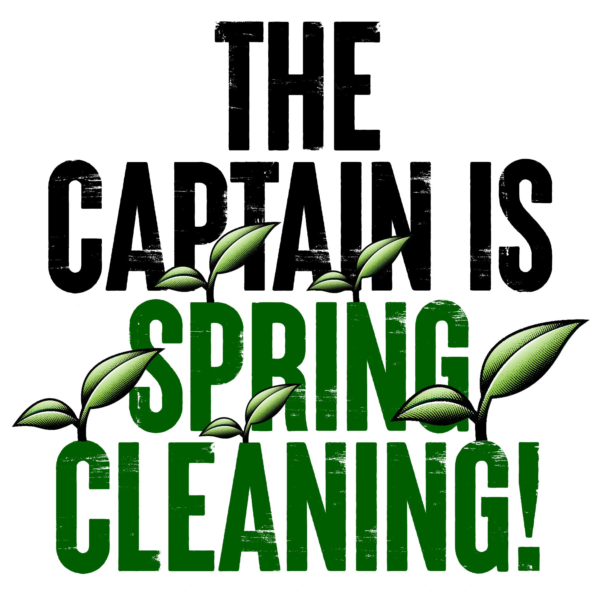 Spring C Clean Spring Cleaning time - last chance to buy!